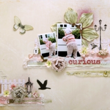 Curious-Ingvild-Bolme