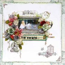 Feeding-The-Swans-Ingvild-Bolme